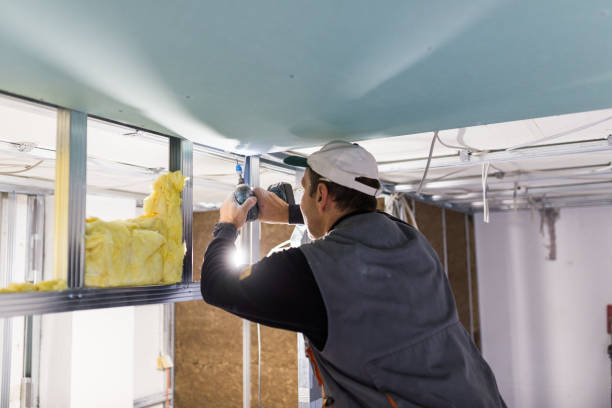Best Eco-Friendly Insulation in Muenster, TX