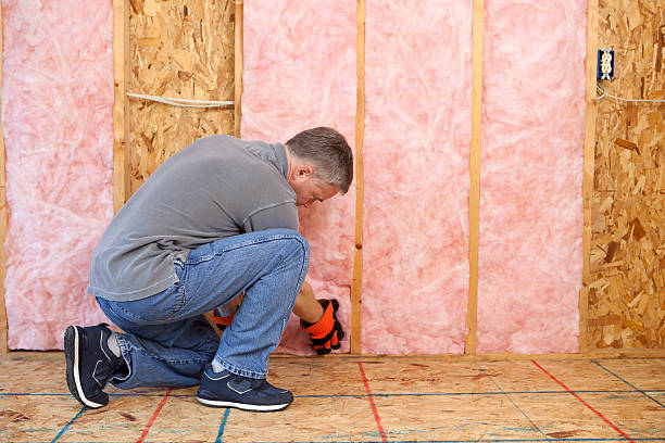 Best Insulation Maintenance and Repair in Muenster, TX